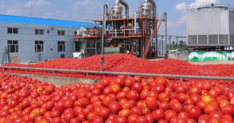 بررسی خصوصیات فیزیکی و شیمیایی رب گوجه فرنگی
